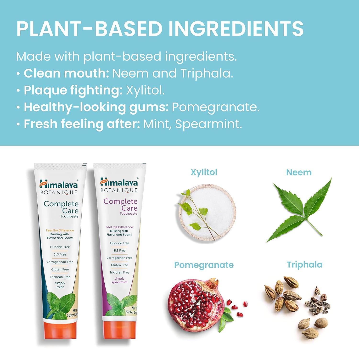 image:imageHimalaya Botanique Complete Care Toothpaste Herbal Peppermint Flavor Fights Plaque Freshens Breath Fluoride Free No Artificial Flavors SLS Free Cruelty Free Foaming 529 Oz 4 PackMint Spearment