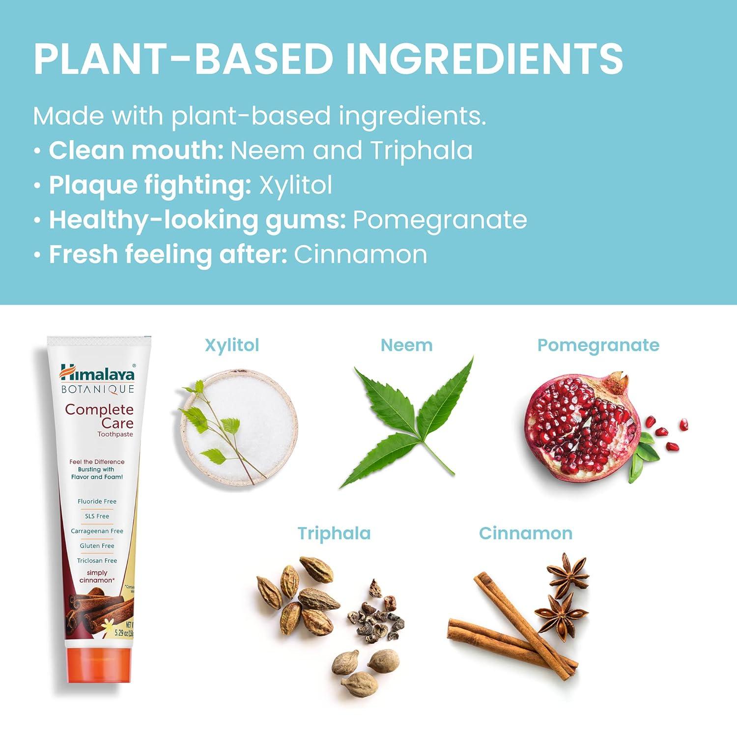 image:imageHimalaya Botanique Complete Care Toothpaste Herbal Peppermint Flavor Fights Plaque Freshens Breath Fluoride Free No Artificial Flavors SLS Free Cruelty Free Foaming 529 Oz 4 PackCinnamon