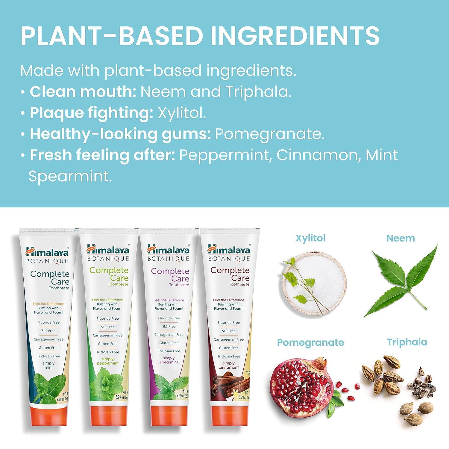image:imageHimalaya Botanique Complete Care Toothpaste Herbal Peppermint Flavor Fights Plaque Freshens Breath Fluoride Free No Artificial Flavors SLS Free Cruelty Free Foaming 529 Oz 4 PackVariety