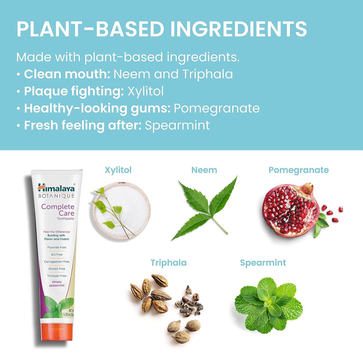 image:imageHimalaya Botanique Complete Care Toothpaste Herbal Peppermint Flavor Fights Plaque Freshens Breath Fluoride Free No Artificial Flavors SLS Free Cruelty Free Foaming 529 Oz 4 PackSpearmint