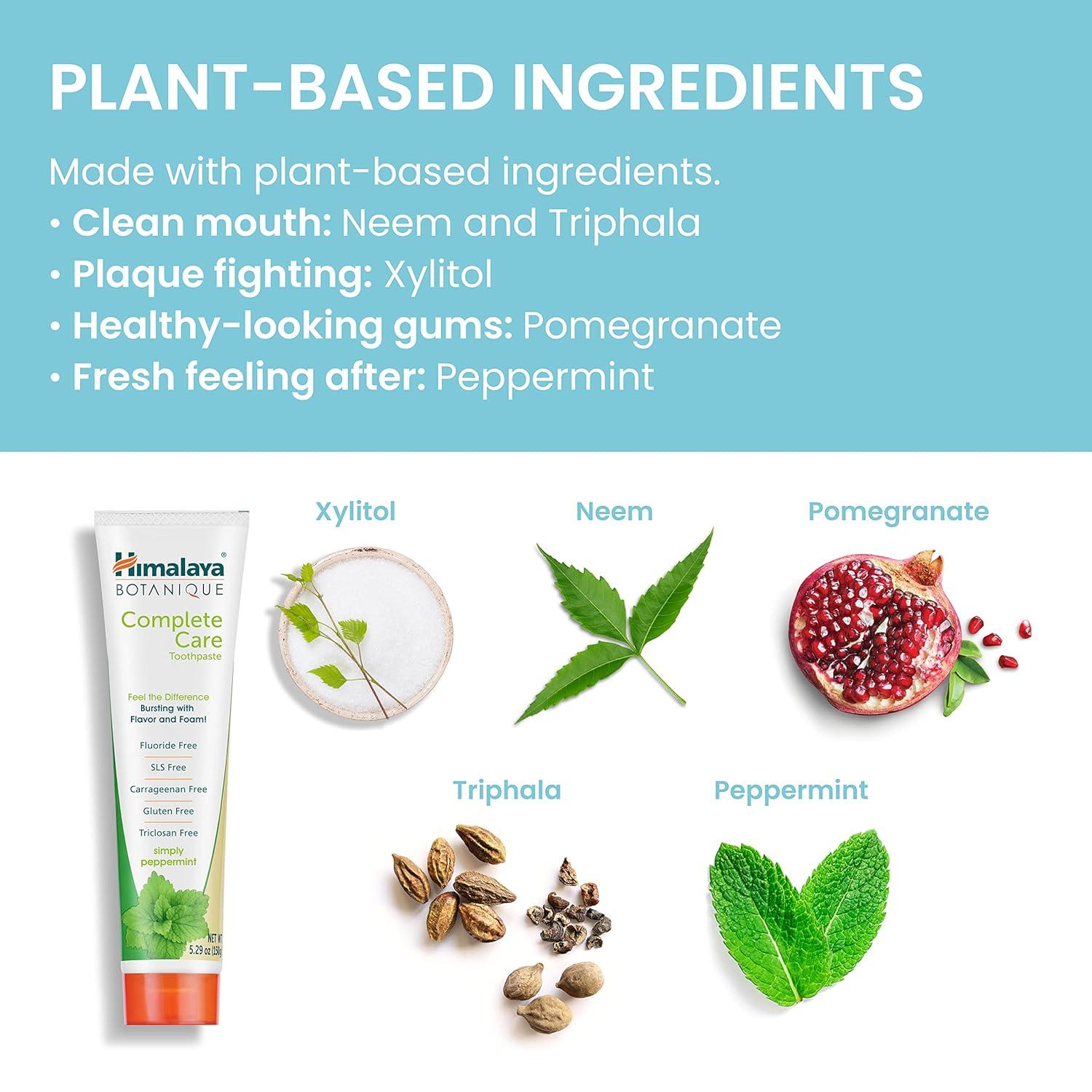 image:imageHimalaya Botanique Complete Care Toothpaste Herbal Peppermint Flavor Fights Plaque Freshens Breath Fluoride Free No Artificial Flavors SLS Free Cruelty Free Foaming 529 Oz 4 PackPeppermint