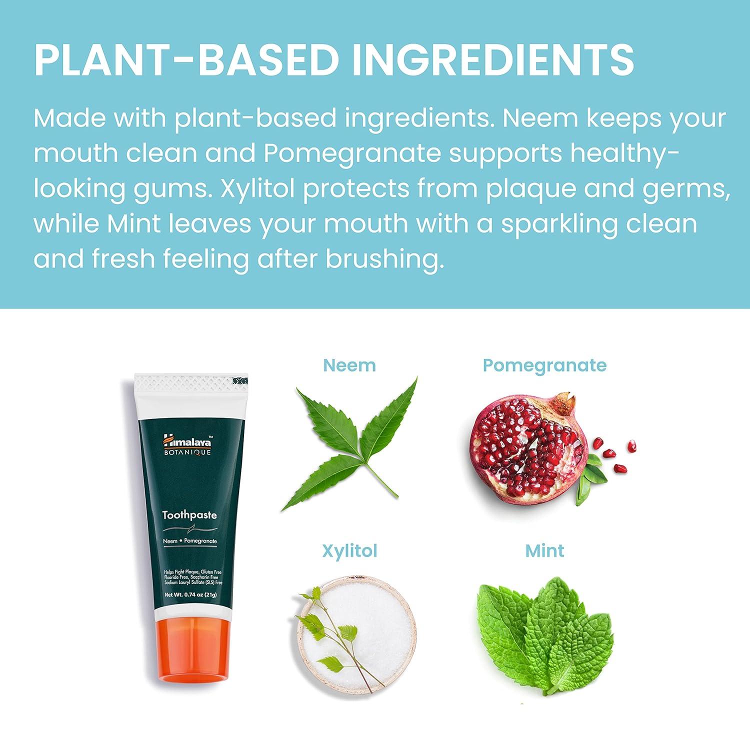 image:imageHimalaya Botanique Original Neem amp Pomegranate Botanical Toothpaste Fights Plaque Brightens Teeth Fluoride Free No Artificial Flavors SLS Free Cruelty Free Foaming Mint Flavor 529 Oz 2 PackPomegranate