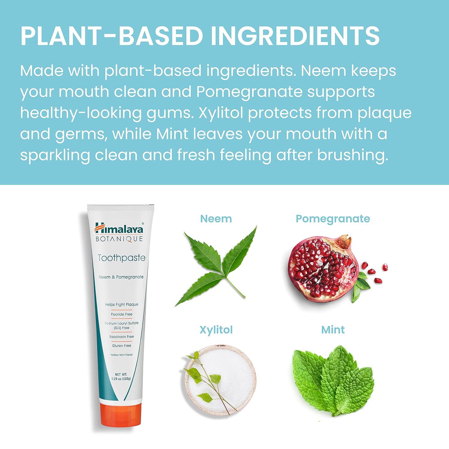 image:imageHimalaya Botanique Original Neem amp Pomegranate Botanical Toothpaste Fights Plaque Brightens Teeth Fluoride Free No Artificial Flavors SLS Free Cruelty Free Foaming Mint Flavor 529 Oz 2 PackHerbal Mint Flavor