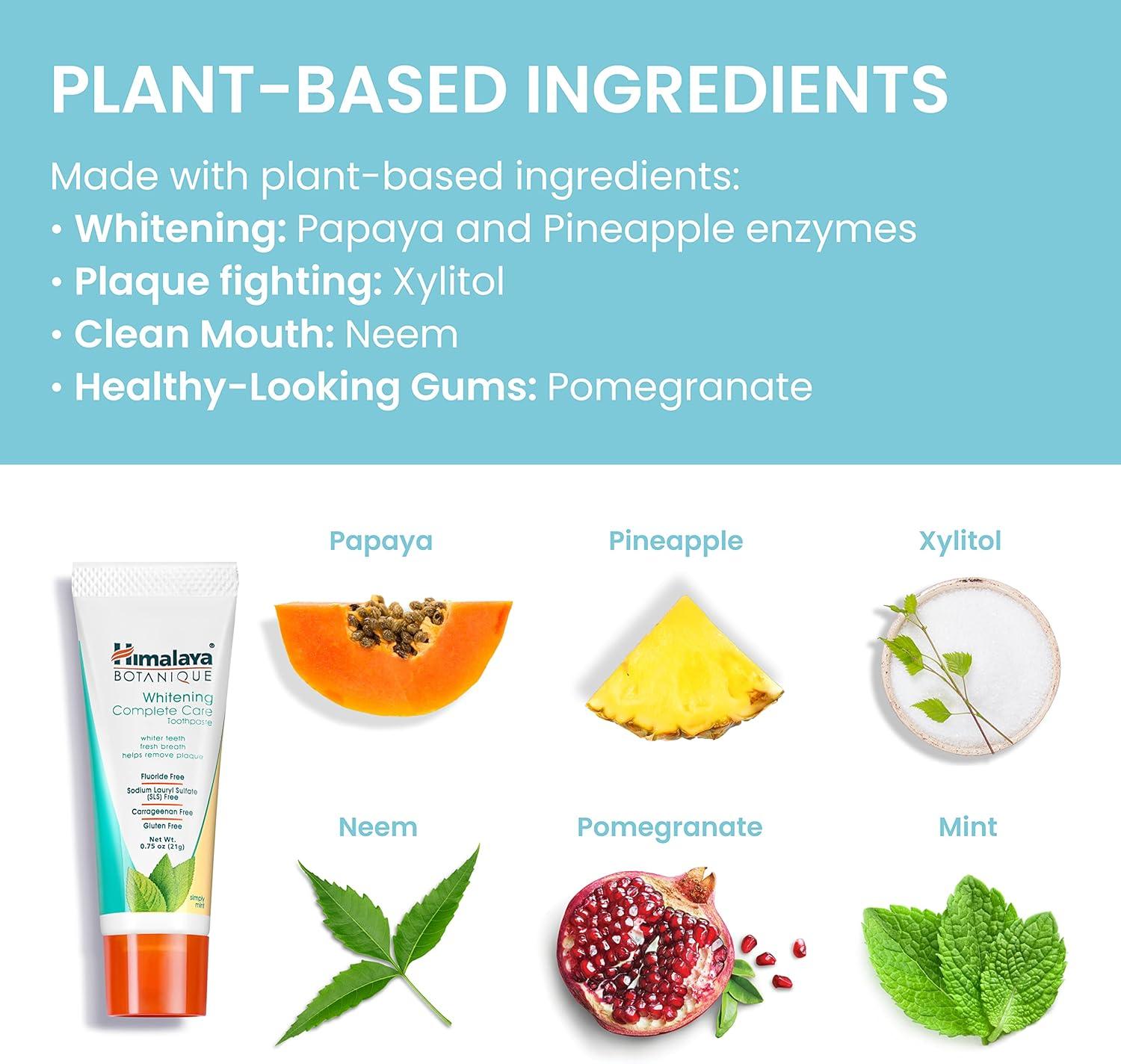 image:imageHimalaya Botanique Whitening Complete Care Travel Toothpaste Mint Travel Size Whitening Toothpaste Without Fluoride for Brighter Teeth amp Fresh Breath Vegan 074 oz Pack of 10007 Ounce Pack of 10