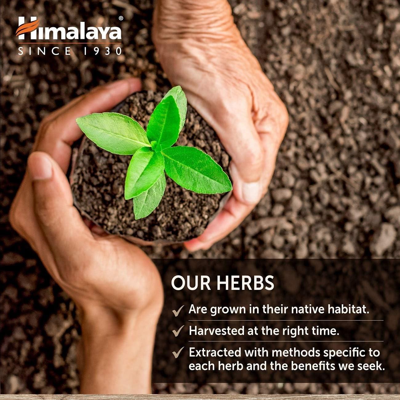 image:imageHimalaya GlucoCare Herbal Glucose Metabolism amp Pancreatic Support with Bitter Melon Gymnema Triphala amp Turmeric Natural Blood Sugar Support Vegan NonGMO GlutenFree 90 Capsules90 Count Pack of 1