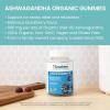 Himalaya Ashwagandha Organic Gummies, KSM-66 Organic Ashwagandha to Help with Stress Relief, Energy and Relaxation, 60 Gummies with Delicious BlackBerry Flavor(Gummy)