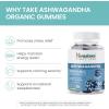 Himalaya Ashwagandha Organic Gummies, KSM-66 Organic Ashwagandha to Help with Stress Relief, Energy and Relaxation, 60 Gummies with Delicious BlackBerry Flavor(Gummy)