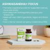 Himalaya Ashwagandha+ Relax, with GABA, Holy Basil & Chamomile for Reset, Relaxation & Stress Relief, Vegan, Gluten Free, 540 mg, 60 Vegetarian Capsules, 1 Month Supply(Ashwagandha+ Focus)