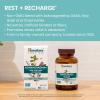 Himalaya Ashwagandha+, with GABA, Holy Basil & Chamomile for Reset, Relaxation & Stress Relief, Vegan, Gluten Free, 540 mg, 60 Vegetarian Capsules, 1 Month Supply