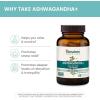 Himalaya Ashwagandha+, with GABA, Holy Basil & Chamomile for Reset, Relaxation & Stress Relief, Vegan, Gluten Free, 540 mg, 60 Vegetarian Capsules, 1 Month Supply