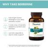 Himalaya Berberine – Herbal Supplement for Supporting Normal Metabolism, Immune, and Digestive Health – Vegan, Gluten Free, 500 mg, 60 Vegetarian Capsules