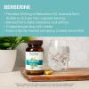 Himalaya Berberine – Herbal Supplement for Supporting Normal Metabolism, Immune, and Digestive Health – Vegan, Gluten Free, 500 mg, 60 Vegetarian Capsules