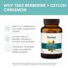 Himalaya Berberine with Ceylon Cinnamon – Herbal Supplement for Supporting Normal Metabolism, Immune, and Digestive Health – Vegan, Gluten Free, 60 Vegetarian Capsules