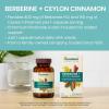 Himalaya Berberine with Ceylon Cinnamon – Herbal Supplement for Supporting Normal Metabolism, Immune, and Digestive Health – Vegan, Gluten Free, 60 Vegetarian Capsules