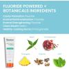 Himalaya Botanique Anticavity Fluoride Toothpaste, Fluoride with Multi-Benefit Support, Fights Cavities, Strengthens Enamel, Promotes Remineralization, Peppermint Flavor, 4 oz(Mint)