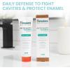 Himalaya Botanique Anticavity Fluoride Toothpaste, Fluoride with Multi-Benefit Support, Fights Cavities, Strengthens Enamel, Promotes Remineralization, Peppermint Flavor, 4 oz(Mint)