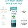 Himalaya Botanique Kids Toothpaste, Cool Mint, Fluoride-Free, Gentle, No Artificial Colors, SLS Free, Gluten Free, Cruelty Free, Vegan, Foaming, 4 Oz, 1 Pack…(Mint)