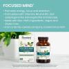 Himalaya Focused Mind with Ashwagandha, Bacopa & L-Theanine for Focus, Energy and Attention, 60 Capsules, 1 Month Supply, Vegan, Gluten Free