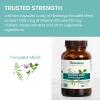 Himalaya Focused Mind with Ashwagandha, Bacopa & L-Theanine for Focus, Energy and Attention, 60 Capsules, 1 Month Supply, Vegan, Gluten Free