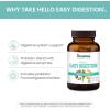 Himalaya Hello Easy Digestion, Digestive Enzymes with 2 Billion CFU Probiotics and Prebiotics, Plus 100 mg Herbal Digestive Support with Ginger, Fennel & Triphala, 30 Vegetarian Capsules