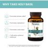 Himalaya Holy Basil – Herbal Adrenal Support for Stress Relief, Relaxation, Energy Support and Occasional Sleeplessness – Vegan, Non-GMO, Gluten Free, 720 mg, 60 Capsules(60 Count (Pack of 1))