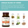 Himalaya LiverCare, 90 Day Supply – Herbal Liver Support Promoting Waste Elimination, Liver Cleanse, Detox, and Bile Production – Vegan, Non-GMO, Gluten Free, 375 mg, 180 Capsules(Unflavored)