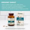 Himalaya Organic Garlic – Herbal Supplement for Lipid Metabolism and Immune Support – Vegan, Non-GMO, Gluten Free, 1400 mg, 60 Caplets(60 Count (Pack of 1))