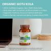 Himalaya Organic Gotu Kola, 45 Day Supply – Herbal Nootropic Supplement with Adaptogens for Energy, Focus, Memory, and Calming Relaxation – Vegan, Non-GMO, Gluten Free, 650 mg, 90 Caplets