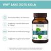 Himalaya Organic Gotu Kola, 45 Day Supply – Herbal Nootropic Supplement with Adaptogens for Energy, Focus, Memory, and Calming Relaxation – Vegan, Non-GMO, Gluten Free, 650 mg, 90 Caplets