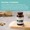 Himalaya Organic Gymnema Sylvestre – Herbal Glucose Metabolism Support – USDA Organic, Non-GMO, Vegan, Gluten Free, Additive Free, 700 mg, 60 Caplets(60 Count (Pack of 2))