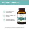 Himalaya Organic Gymnema Sylvestre – Herbal Glucose Metabolism Support – USDA Organic, Non-GMO, Vegan, Gluten Free, Additive Free, 700 mg, 60 Caplets(60 Count (Pack of 2))