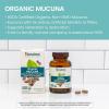 Himalaya Organic Mucuna Pruriens, 60 Day Supply – Herbal Supplement for Calming Relaxation from Tension and Promoting Brain Function – Vegan, Non-GMO, Gluten Free, 600 mg, 60 Caplets(60 Count (Pack of 2))