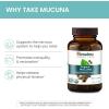 Himalaya Organic Mucuna Pruriens, 60 Day Supply – Herbal Supplement for Calming Relaxation from Tension and Promoting Brain Function – Vegan, Non-GMO, Gluten Free, 600 mg, 60 Caplets(60 Count (Pack of 2))