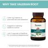 Himalaya Organic Valerian Root, Herbal Sleep Support for Calm Relaxation, USDA Organic, Non-GMO, Vegan, Gluten Free, 1,000 mg, 60 Capsules