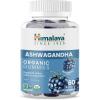 Himalaya Ashwagandha Organic Gummies, KSM-66 Organic Ashwagandha to Help with Stress Relief, Energy and Relaxation, 60 Gummies with Delicious BlackBerry Flavor(Gummy)