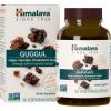 Himalaya Guggul – Herbal Liver Support for Liver Detox, Cholesterol, HDL & LDL Support – Vegan, Non-GMO, Gluten Free, 720 mg, 60 Capsules(60 Count (Pack of 1))
