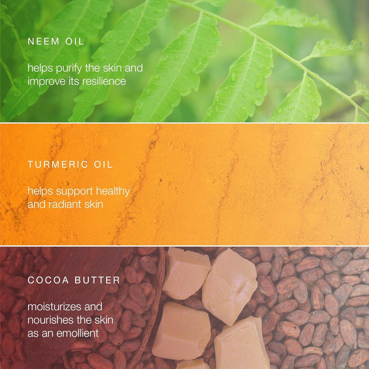 image:imageHimalaya Botanique Purifying Neem amp Turmeric Body Bar for a Total Body Deep Cleaning 441 oz 4 Pack103 Ounce Pack of 4