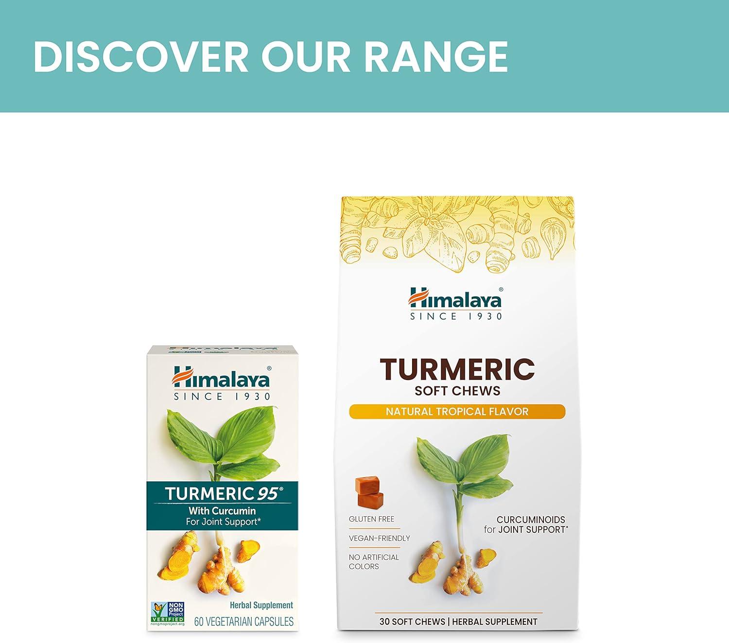 image:imageHimalaya Turmeric 95 Herbal Supplement with Turmeric Curcumin for Joint Support and Mobility 95 Curcuminoids Vegan NonGMO Gluten Free 600 mg 30 Capsules60 Count Pack of 1