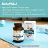 Himalaya Boswellia, Joint Support for Mobility and Flexibility, Promotes Tissue Preservation, 250 mg, 240 Capsules(60 Count (Pack of 1))