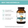 Himalaya Boswellia, Joint Support for Mobility and Flexibility, Promotes Tissue Preservation, 250 mg, 240 Capsules(60 Count (pack of 2))