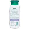 Himalaya Gentle Baby Bath, Gentle, Non-Irritating Cleanser for Nourishing Your Baby’s Skin, 6.76 Fl Oz (Pack of 3)(13.53 Fl Oz (Pack of 1))