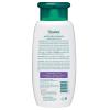 Himalaya Gentle Baby Shampoo for Baby-Soft Hair & Scalp Soothing Moisture, 6.76 oz…(13.53 Fl Oz (Pack of 1))