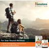 Himalaya ImmunoCare, 60 Day Supply – Herbal Immune Support Supplement with Ashwagandha and Amla – Vegan, Non-GMO, Gluten Free, 840 mg, 240 Capsules(240 Count (Pack of 1))