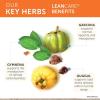 Himalaya LeanCare – Herbal Supplement for Weight and Metabolism Support with Garcinia Cambogia, Gymnema Sylvestre, and Guggul – Vegan, Non-GMO, Gluten Free, 600 mg, 120 Capsules