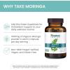 Himalaya Moringa – Herbal Superfood Antioxidants Supplement Supporting Wellness, Vitality, and Oxidative Stress – Vegan, Non-GMO, Gluten Free, 1000 mg, 60 Capsules