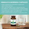 Himalaya Moringa – Herbal Superfood Antioxidants Supplement Supporting Wellness, Vitality, and Oxidative Stress – Vegan, Non-GMO, Gluten Free, 1000 mg, 60 Capsules
