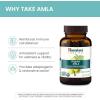 Himalaya Organic Amla – Herbal Immune Support Supplement with Adaptogen and Antioxidant – USDA Organic, Vegan, Non-GMO, Gluten Free, 600 mg, 60 Caplets(60 Count (Pack of 1))
