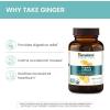 Himalaya Organic Ginger, 60 Day Supply – Digestive Health Supplement for Nausea, Upset Stomach Relief, and Occasional Bloating and Heartburn – USDA Organic, Vegan, Non-GMO, Gluten Free, 60 Caplets