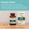 Himalaya Organic Ginger, 60 Day Supply – Digestive Health Supplement for Nausea, Upset Stomach Relief, and Occasional Bloating and Heartburn – USDA Organic, Vegan, Non-GMO, Gluten Free, 60 Caplets