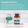 Himalaya Organic Guduchi – Herbal Active Immune Support Supplement with Antioxidant Support for Cellular Defense – Vegan, Non-GMO, Gluten Free, 700 mg, 60 Caplets(60 Count (Pack of 2))